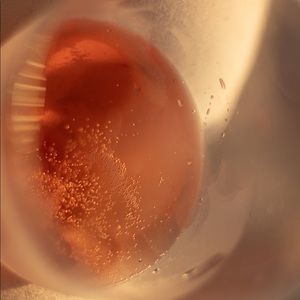 Meet your Posher, Sofia